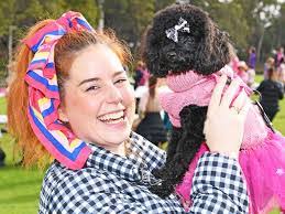 Derek Stow's Instagram, Twitter & Facebook