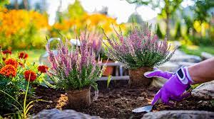 In deinen blumenbeeten gibt es jetzt gar nicht so viel zu tun. Sechs Tipps Fur Einen Winterfesten Garten