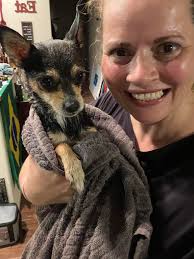 Lost cat Josie found safe in New Jersey neighborhood