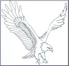30 Gambar Kartun Burung Garuda Terbang Kumpulan Sketsa Gambar Burung Elang Hantu Merpati Merak Bird Gambar Burung Bangau Animasi Di 2020 Burung Gambar Kartun Gambar