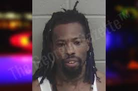 Michael Holsey: https://thegeorgiagazette.com/wayne/michael-holsey-3/