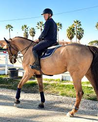 Profile for Adrian Speight Showjumping