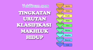 Mempermudah dalam mempelajari dan mengenal berbagai macam makhluk hidup; Klasifikasi Makhluk Hidup Tujuan Manfaat Tingkatan