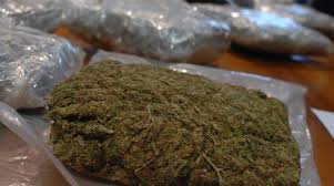 2 etti = 200 grammi. Pavia Oltre Un Etto Di Marijuana Nello Zaino Denunciato 20enne Cronaca Ilgiorno It