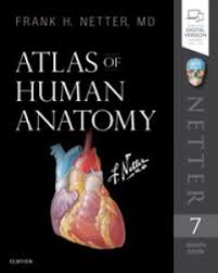 Atlas d'anatomie humaine) can be regarded as the world's most complete atlas of anatomy with unsurpassed depictions of the human body. Atlas Of Human Anatomy 9780323393225