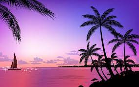 214 beach 4k wallpapers and background images. Tropical Beach Sunset Wallpaper 1920x1200 Wallpaper Teahub Io