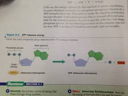 Cellular respiration requires oxygen (o2) and gives off carbon. Aerobic Anaerobic Respiration Formulas Vtwctr