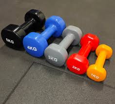 22Kg Home Gym Dumbbell Set - Hashtag Fitness : Online Gym Equipments For  Home