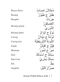 Kata lain dari allah dalam bahasa ibrani yang berasal dari bahasa semitik yaitu: Kamus Praktis Bahasa Arab