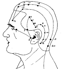 Maybe you would like to learn more about one of these? Best Pressure Points For Self Defense Discover The Top Points Now Pressure Point Knockout Pressure Points Head Pressure Points
