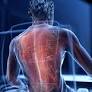 New Research Links Prolonged Sitting to Increased Cancer Mortality Risk
