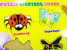 Gambar hewan untuk mewarnai diatas dapat diunduh secara gratis. Ape Mainan Edukasi Puzzel Kayu Binatang Udara Mainan Anak Tk Alat Peraga Edukasi Paud Shopee Indonesia