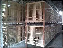 Kandang ayam joper untuk hasil ternak yang menguntungkan ayam joper merupakan ayam berkualitas baik dari hasil persilangan antara ayam petelur betina dengan ayam dalam pembuatan kandang ayam joper ini, hal pertama yang harus anda perhatikan adalah arah kandang itu sendiri. Ukuran Ideal Kandang Ayam Bangkok Tentang Kolam Kandang Ternak