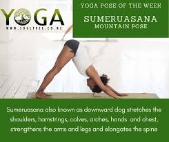 Sumeruasana Mountain Pose Is One Of The Foundation Poses We Come Back To All The Time To Connect With The Energetic Aspect Of T In 2020 Yoga Poses Mountain Pose Poses