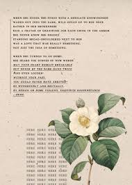Taylor Swift Poem Why She Disappeared Www Btmponsel Com
