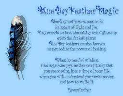Feather Magick Feather Magic Jay Feather Blue Jay Feather