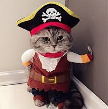 This puss in boots cat costume includes a black cape that fastens around the neck, stylish scarf, paw cuffs, a white frill collar, and a hat with an attached feather to top it all off. Halloween Costumes For Your Cat Meow As Fluff