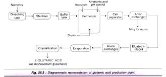 microbial production of 7 types of amino acids