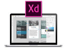 Image result for Adobe XD CC 2018 for windows