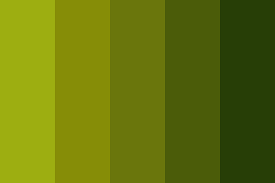 I often pair them with dark purple or wine colors. Olive Green Color Palette