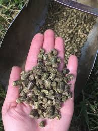 125219899 product rating is 4.7 4.7 (355) see price at checkout was save bulk price free in store. Do You Know Your Forage Alternatives Equine Science Center