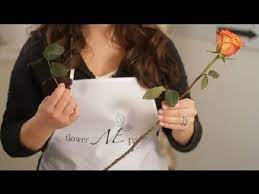 Check spelling or type a new query. What Can Keep Freshly Cut Roses In A Vase From Wilting Flowers Centerpieces Youtube