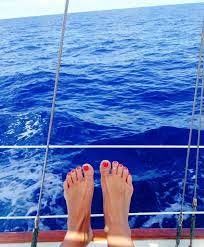 Crossing The Gulf Stream Gulfstream Sailing Streaming