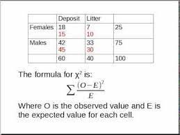 Pin On Math Studies