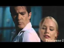 евгений дога мой ласковый и нежный зверь скачать бесплатно Lara Fabian Antonio Banderas Malade Ya Bolna Toboj Lara Fabian Je Suis Malade Youtube Popular Music Songs Music Genres