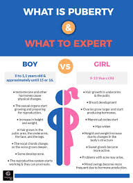 Infographic Puberty Pubertyceremony Puberty Girls Stages