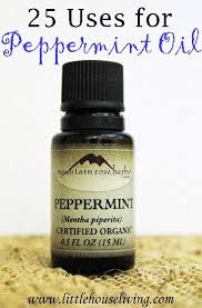 25 Uses For Peppermint Oil In And Around Your Home Peppermint Oil Uses Peppermint Essential Oil Essential Oil Recipes
