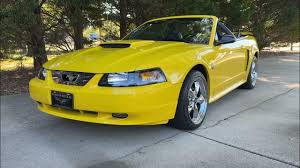 Image result for Cosmic Yellow 2004 A4