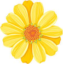 Yellow Daisy Png Transparent Clip Art Image Clip Art Art Images Art