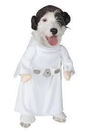 Star Wars Princess Leia Dog Costume Halloween Pet Costumes Star Wars Princess Leia Pet Halloween Costumes