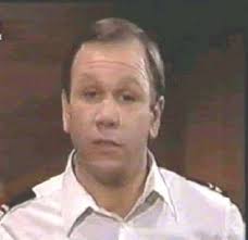 The cast of the episodic characters