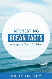 The arctic ocean gets its name from 'arctos', the greek word for 'bear', because the bear constellation can be seen just above the north pole. Ocean Facts For Kids Fun Engaging Guide To Understanding The Sea