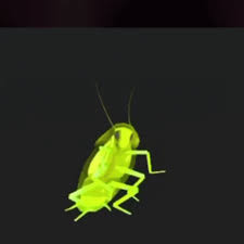Dancing Cockroach Gif Dancing Cockroach Discover Share Gifs