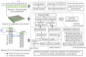 Guided reading and study workbook. Bg Modelling The Habitat Preference Of Two Key Sphagnum Species In A Poor Fen As Controlled By Capitulum Water Content