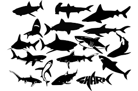 Download Shark Silhouette Files Graphic By Retrowalldecor Creative Fabrica PSD Mockup Templates