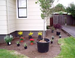 Pin By Vintage By Design On Gardening Side Yard Landscaping Front Yard Landscaping Design Low Maintenance Landscaping Front Yard