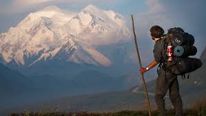 But of course, you don't have to. Denali National Park 10 Tips To Make The Most Of Your Visit