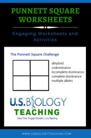 Includes worked examples of dihybrid crosses. Punnett Square Worksheet Archives Usbiologyteaching Com