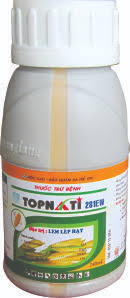 Topnati 281EW
