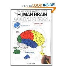 Biology For A Changing World 3rd Edition Amazon The Human Brain Coloring Book Cos 306 Marian C Diamond Arnold B Scheibel 9780064603065 Amazon Com Books Books Coloring Books Human Brain