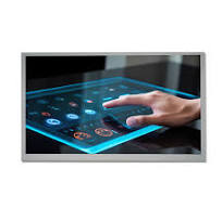13Panel de pantalla LCD de.3 pulgadas Fabricante de ...