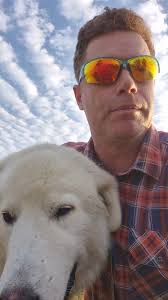 Monday Evening with Boudicca the Guardian Dog and the flock in the field  after a very hot day. The farmers work hard to make sure there is good  food, shade, strong fences, and access to water., ., ., ...