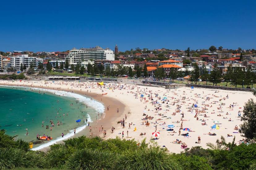 Pest Control Eastern Suburbs