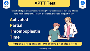 Image result for Modified Apt Test