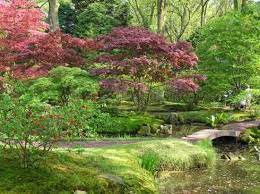 Pin On Japanese Garden Ogrod Japonski