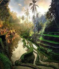 Ubud Bali Indonesia Bali Travel Asia Travel Beautiful Places